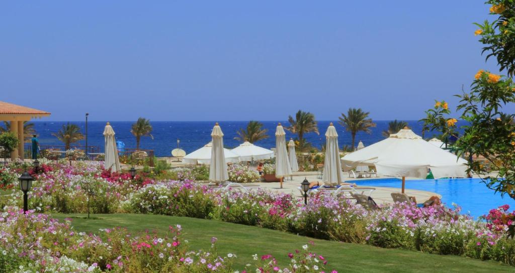 Royal Brayka Beach Resort Abu Dabab Εξωτερικό φωτογραφία