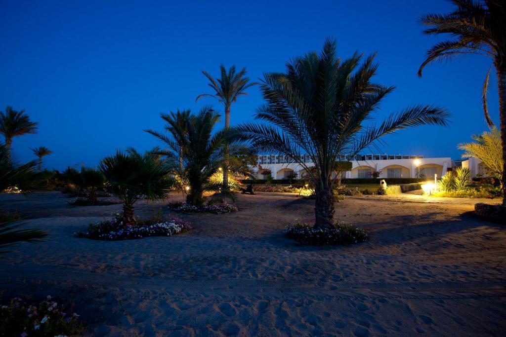 Royal Brayka Beach Resort Abu Dabab Εξωτερικό φωτογραφία